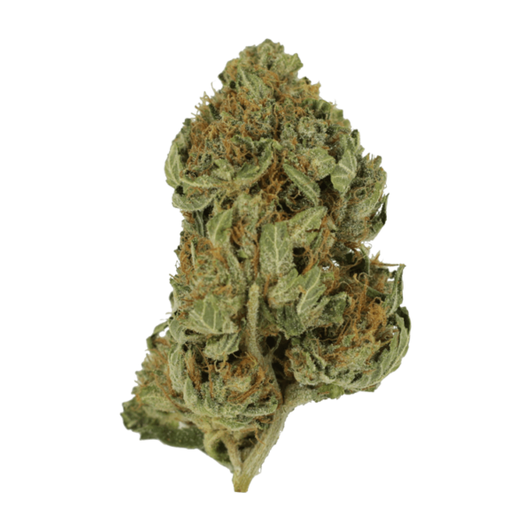 Bubblegum – 1 ounce | Weed Deals Canada