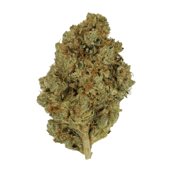 Nepalese | Weed Deals Canada