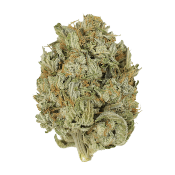 Blue Dream (Popcorn) | Weed Deals Canada