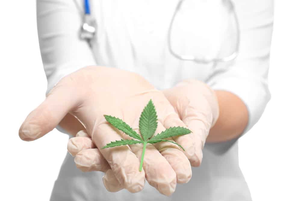 Cannabis as a natural cure for pain | Weed Deals Canada