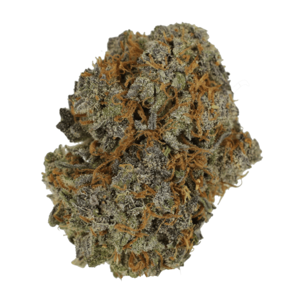 Jack Herer 1 Ounce | Weed Deals Canada