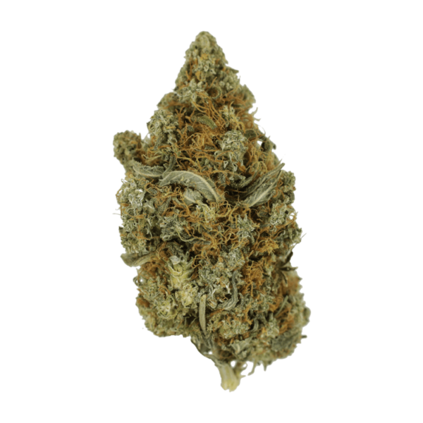 Jack Herer 1 Ounce | Weed Deals Canada