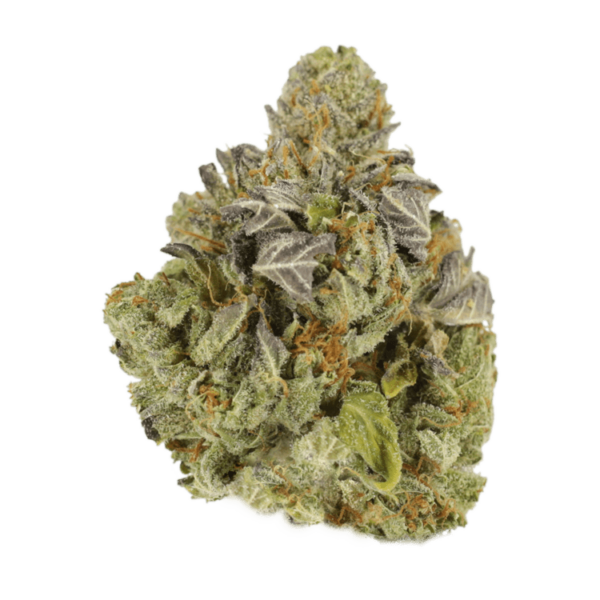 Jet Fuel | Weed Deals Canada