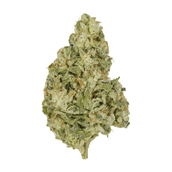 Zombie OG | Weed Deals Canada