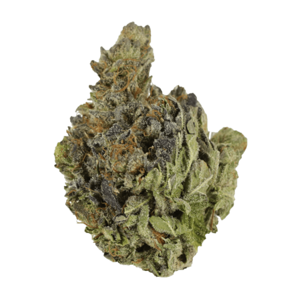 Chocolope | Weed Deals Canada