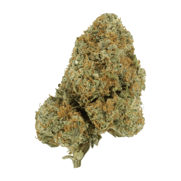 Blue Rhino | Weed Deals Canada