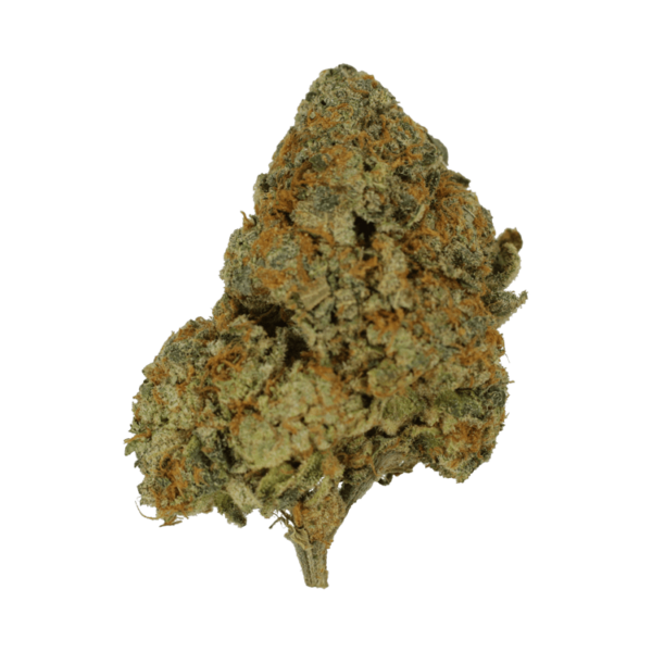 9lb Hammer | Weed Deals Canada