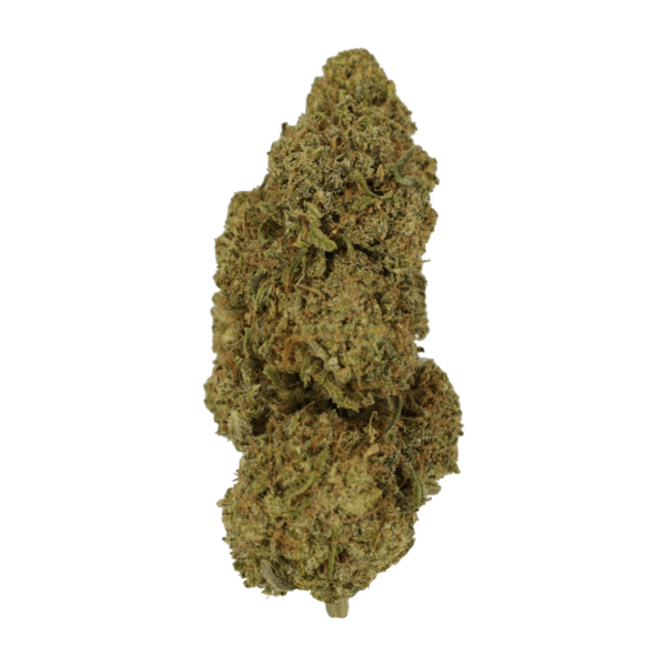 9lb Hammer | Weed Deals Canada