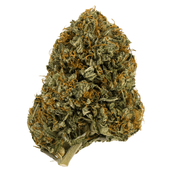 Wifi OG – 1 ounce | Weed Deals Canada