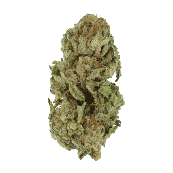 Golden Goat | Weed Deals Canada
