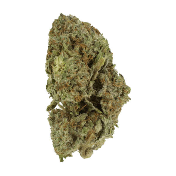 Gelato Sorbet – 1 ounce | Weed Deals Canada