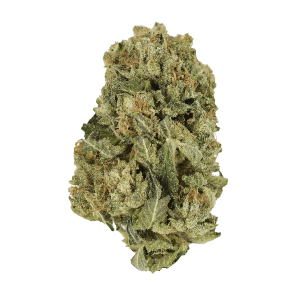 Black Domina | Weed Deals Canada