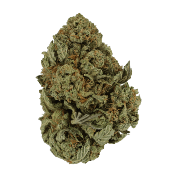Master Kush Ultra | Weed Deals Canada