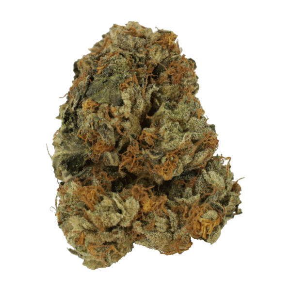 Dolato – 1OZ | Weed Deals Canada