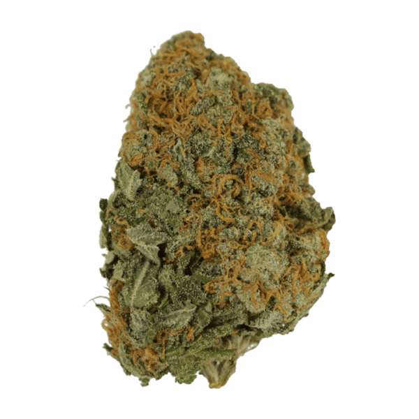 Master Kush Ultra | Weed Deals Canada