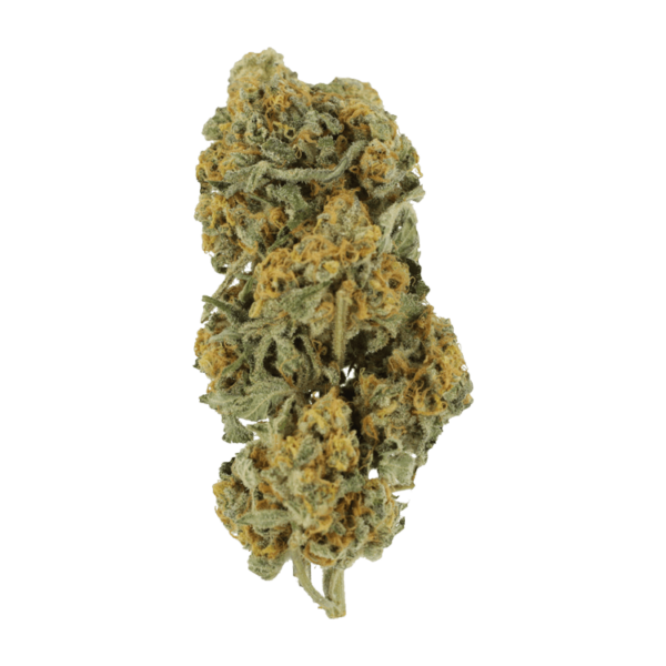 Miracle Alien Cookies | Weed Deals Canada