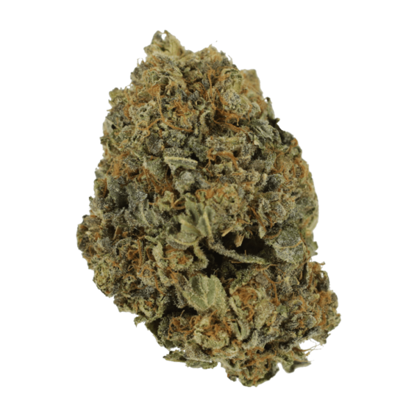 White Shark – 1 ounce | Weed Deals Canada