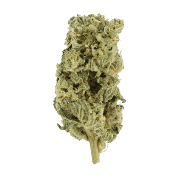 Romulan Hashplant | Weed Deals Canada