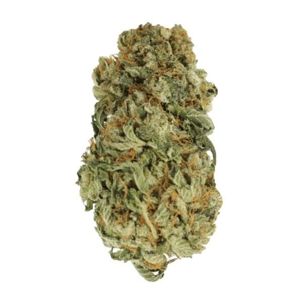 King Louis – 1 ounce | Weed Deals Canada