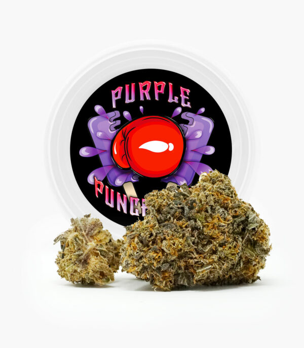 Westcoast Cali Tins – Premium Flower – Purple Punchsicle – 14g | Weed Deals Canada