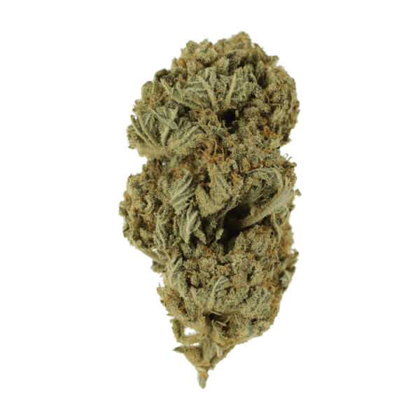  | Weed Deals Canada