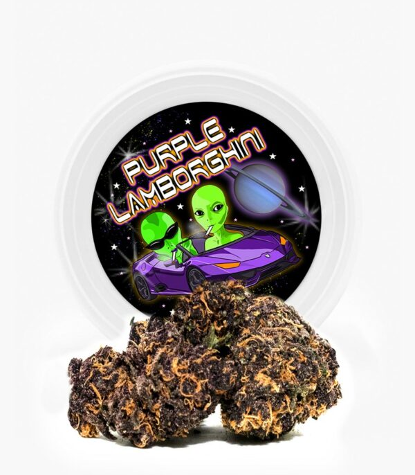 Westcoast Cali Tins – Premium Flower – Purple Lamborghini – 3.5g | Weed Deals Canada