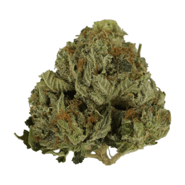 Pink Animal – 1 ounce | Weed Deals Canada