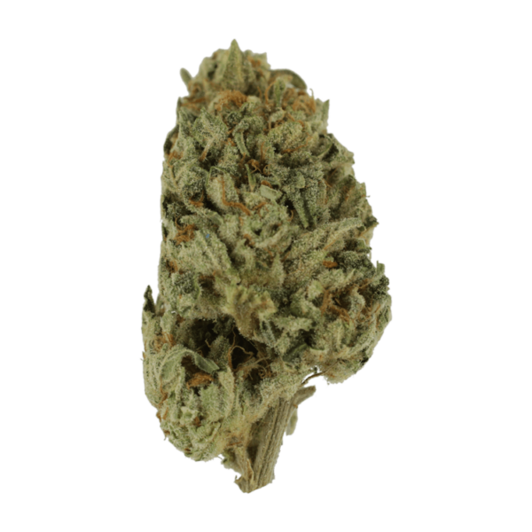 Biscotti Sundae | Weed Deals Canada