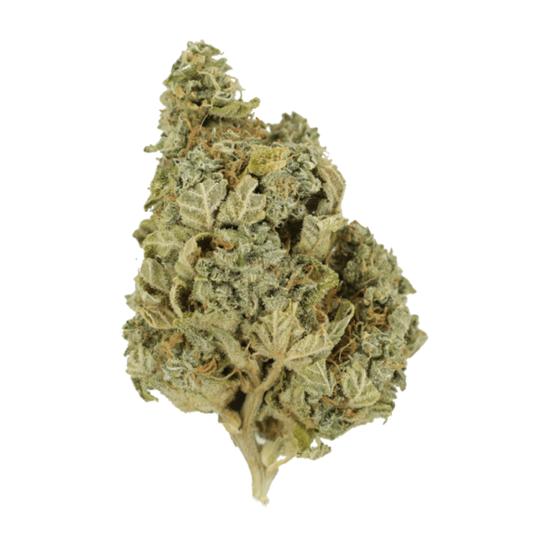 Khalifa Kush | Weed Deals Canada