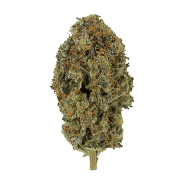 Acapulco Gold | Weed Deals Canada