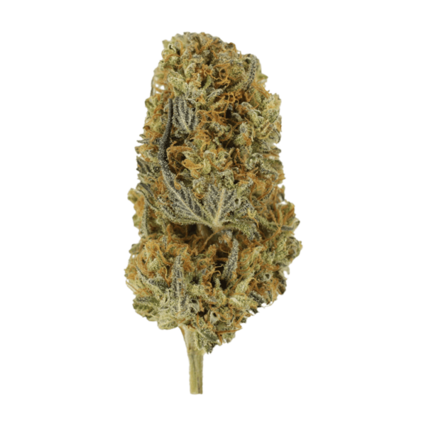 Headband | Weed Deals Canada