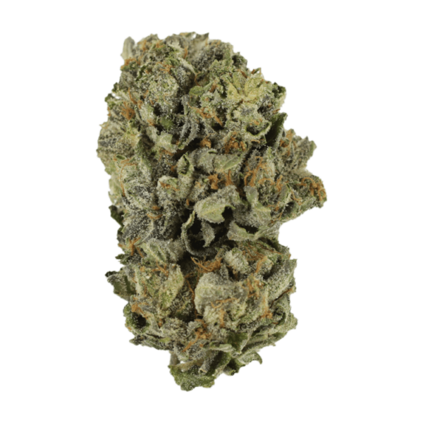 Cerebro Haze | Weed Deals Canada