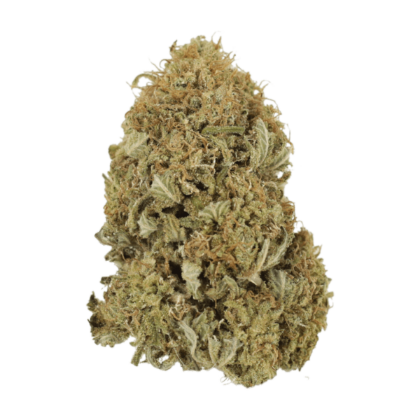 G13 | Weed Deals Canada