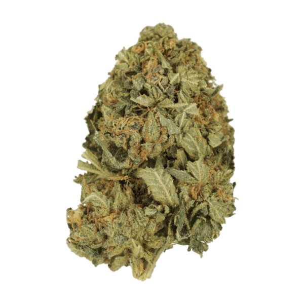 G13 | Weed Deals Canada