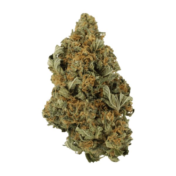 God’s Bubba | Weed Deals Canada