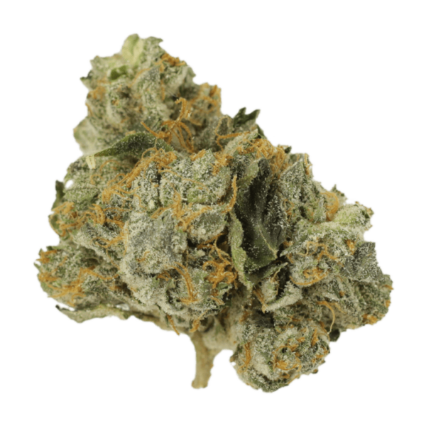 Mango Cream | Weed Deals Canada