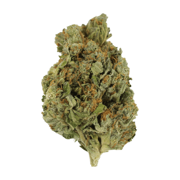 Mango Cream | Weed Deals Canada