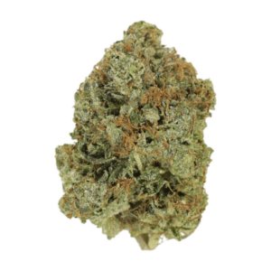 Jack Herer (popcorn) | Weed Deals Canada