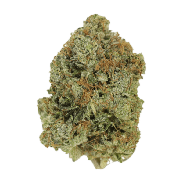 Jack Herer (popcorn) | Weed Deals Canada