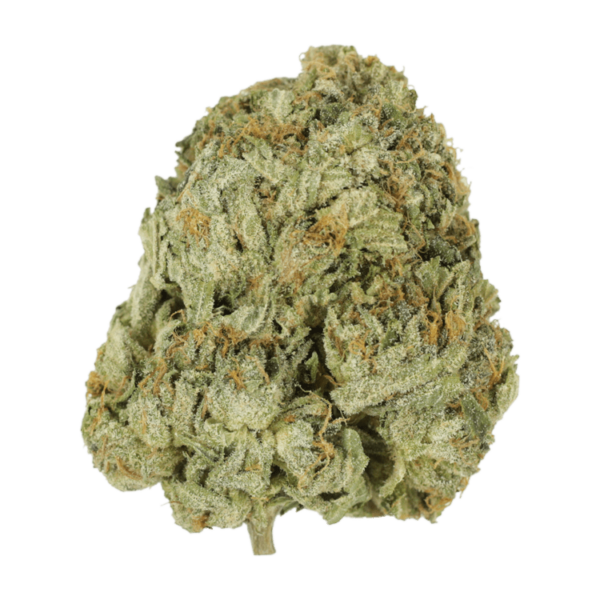 Godzilla Glue | Weed Deals Canada