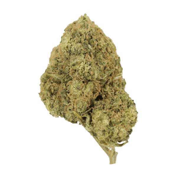 Laughing Buddha | Weed Deals Canada