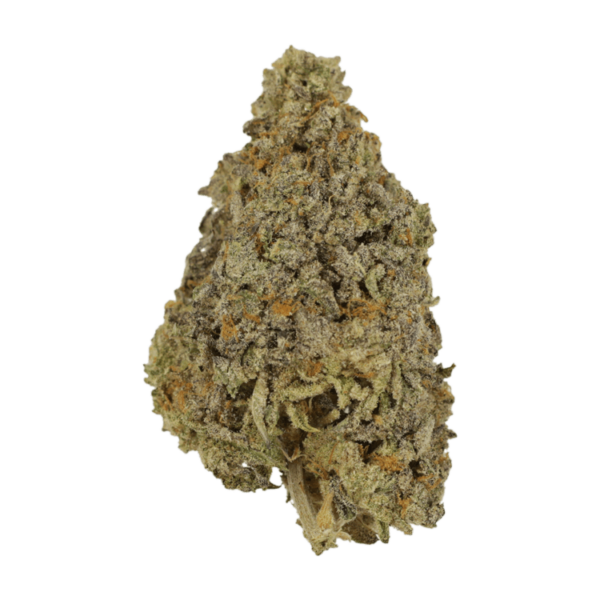 Frosty Gelato | Weed Deals Canada