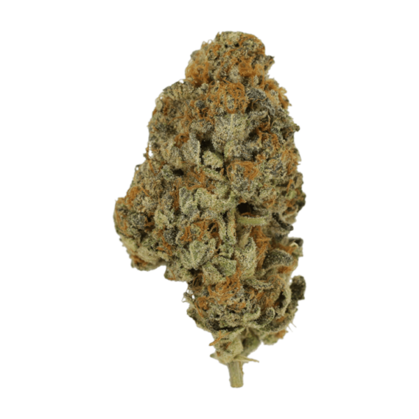 Key Lime Pie | Weed Deals Canada