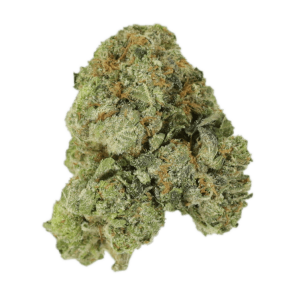 White Russian | Weed Deals Canada