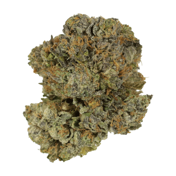 Chocolate Mint | Weed Deals Canada