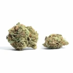 White Truffle (Popcorn) | Weed Deals Canada