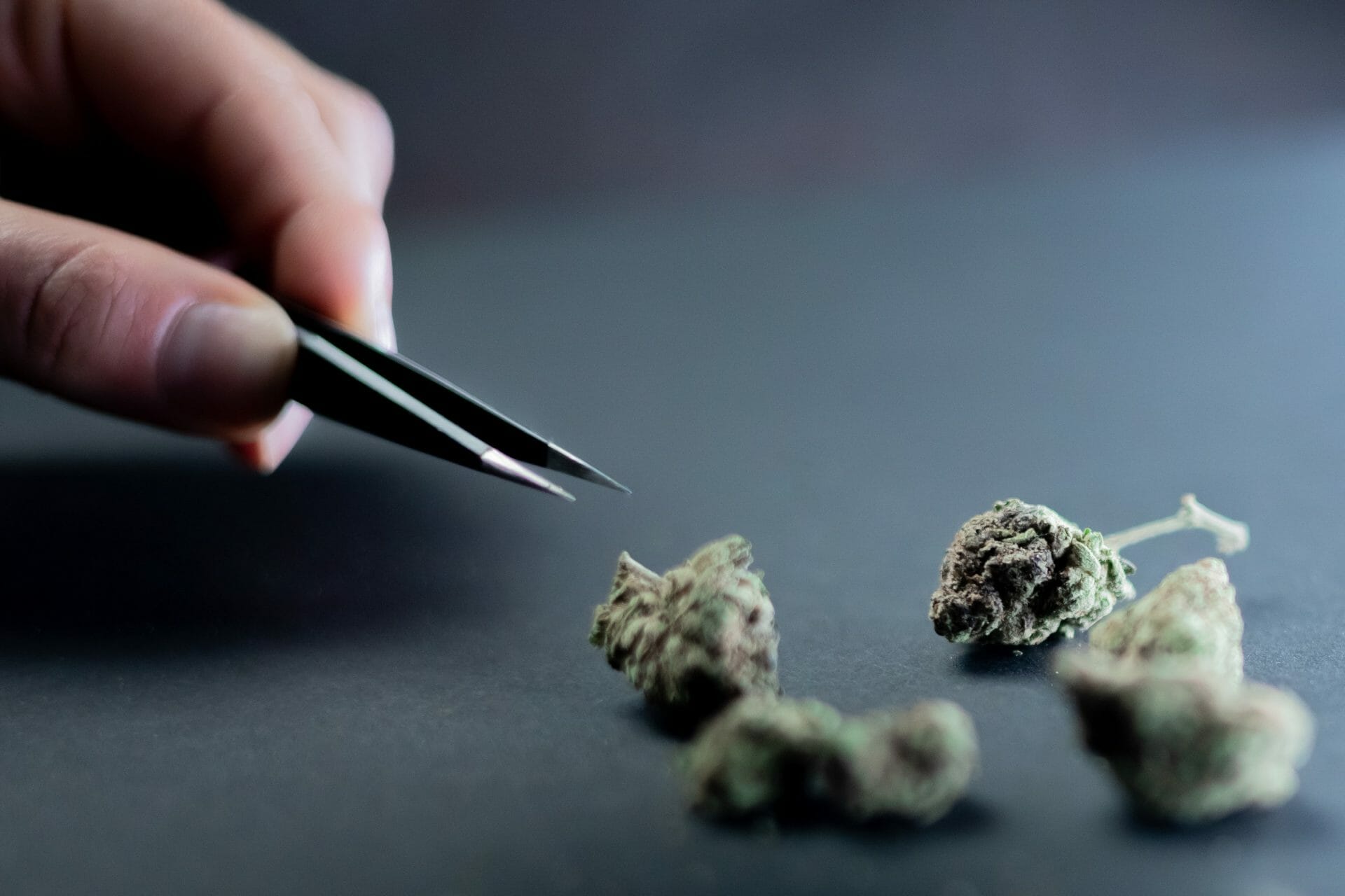 Buy cannabis Online Canada | Weed Deals Canada
