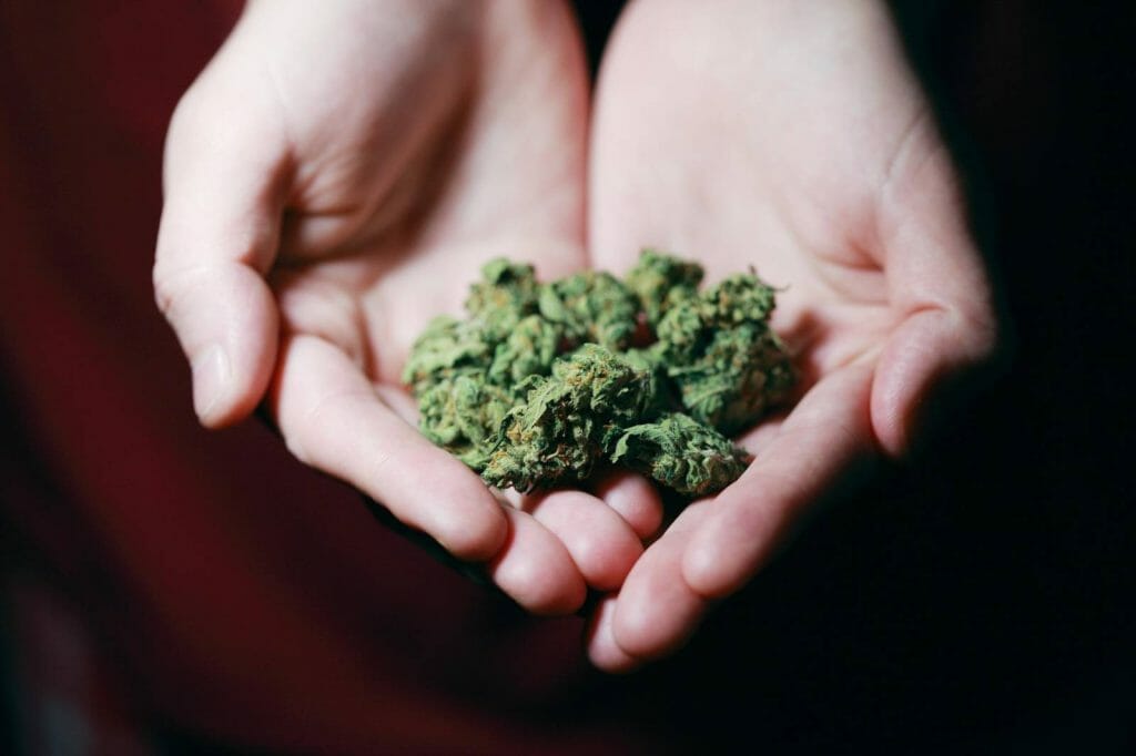 Elevate Your High With The Best Ontario cannabis Strains | Weed Deals Canada | Weed Deals Canada