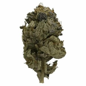 Weed Deals Canada - Pink Gas Strain | Weed Deals Canada