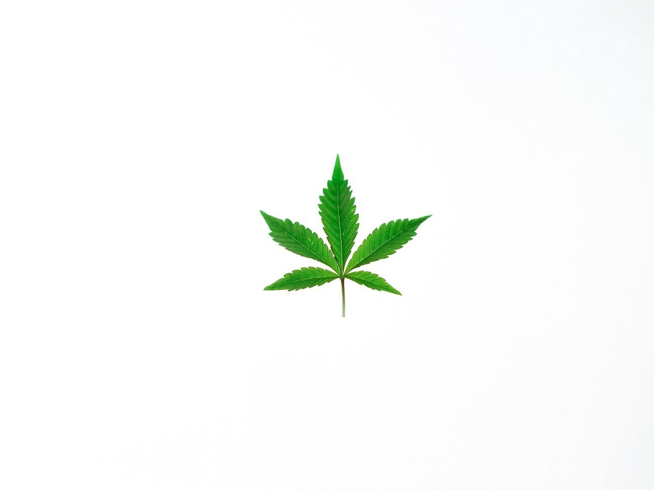 Benefits of Shopping in a BC cannabis Online Dispensary | Weed Deals Canada